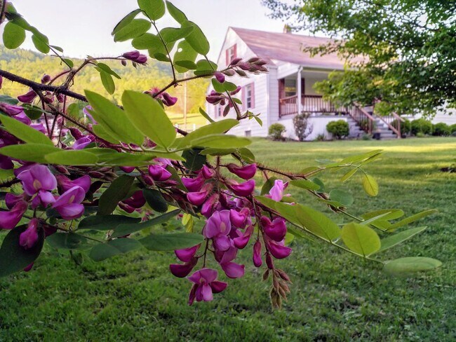 Foto del edificio - Quaint Country Cottage On Large Lot Near D...
