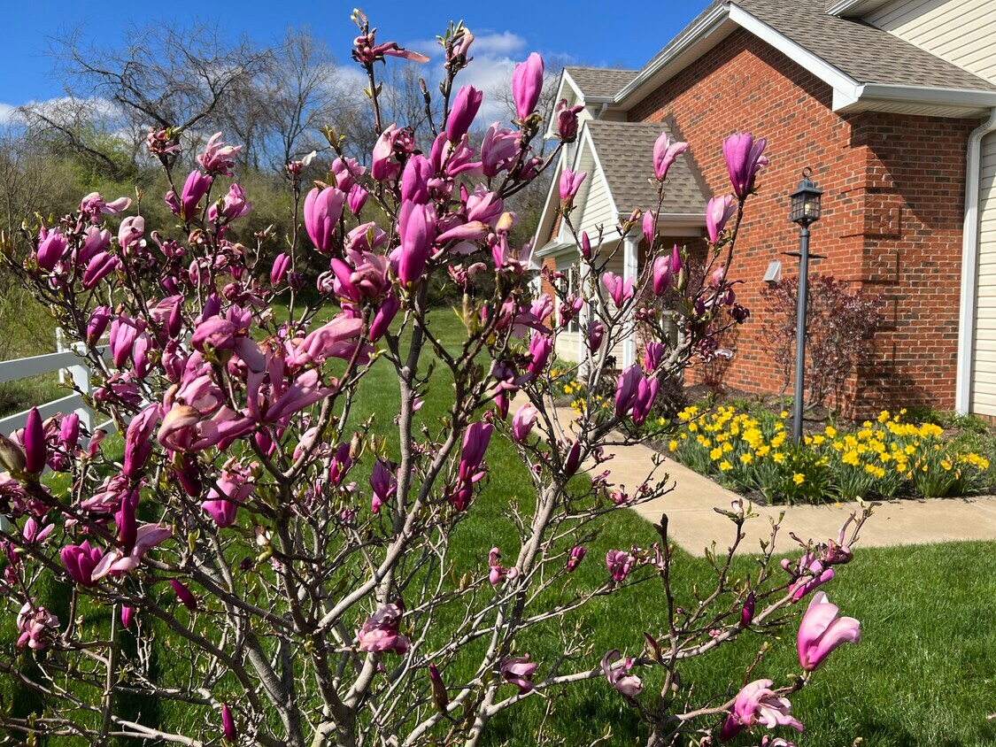 1322 Crest Ln Unit 14A, Oakdale, PA 15071 Condo for Rent in Oakdale