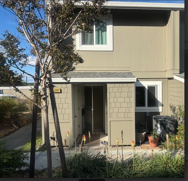 Building Photo - 1289 Maple Ct