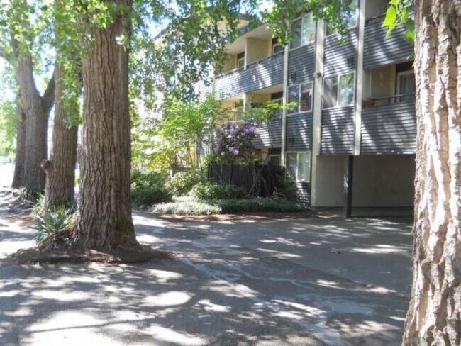 Foto del edificio - 2 bedroom in Seattle WA 98125