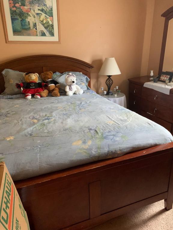 Photo - 2889 Sunset Ct House