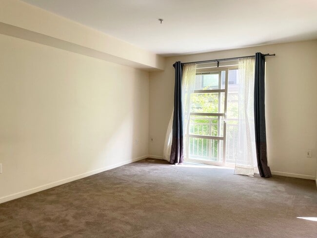 Photo - Cozy Studio in Downtown Bellevue House