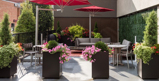 Twenty & Grand Patio 1 - Twenty & Grand