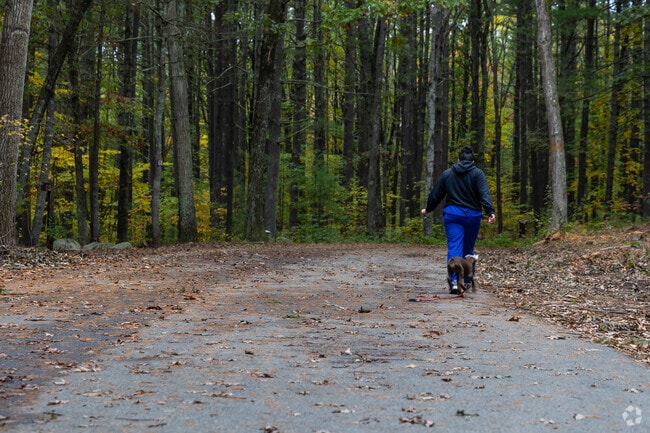 Many people and their furry companions enjoy the wide variety of terrain in the state forest.