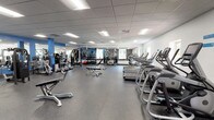 This single-floor fitness center offers a spacious, thoughtfully organized workout environment designed to accommodate a wide variety of exercise routines. The facility features durable rubber flooring throughout, providing both safety and comfort during training sessions. A drop ceiling with recessed panel lighting ensures consistent, even illumination across the entire space, while windows along the perimeter walls allow natural light to complement the interior lighting.

The cardio zone is well-stocked with multiple treadmills, elliptical trainers, and stationary bikes, all arranged in an orderly row to maximize floor space and usability. The strength-training area includes a selection of cable machines, multi-function weight stations, and adjustable benches suited for a range of exercises. A dedicated free weights section houses a full rack of dumbbells alongside stability balls and additional accessories.

Large wall mirrors are strategically positioned to aid in monitoring form, while bold blue accent columns add a strong visual identity to the space. A standout feature is the large motivational typography mural spanning one wall, displaying fitness-focused goals that contribute to an energizing and encouraging atmosphere. The overall design is clean, functional, and purposefully arranged to support users of all fitness levels.