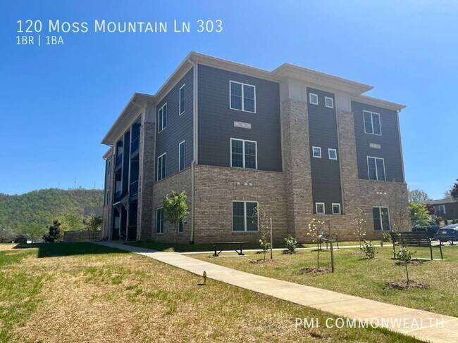 Foto del edificio - 120 Moss Mountain Ln