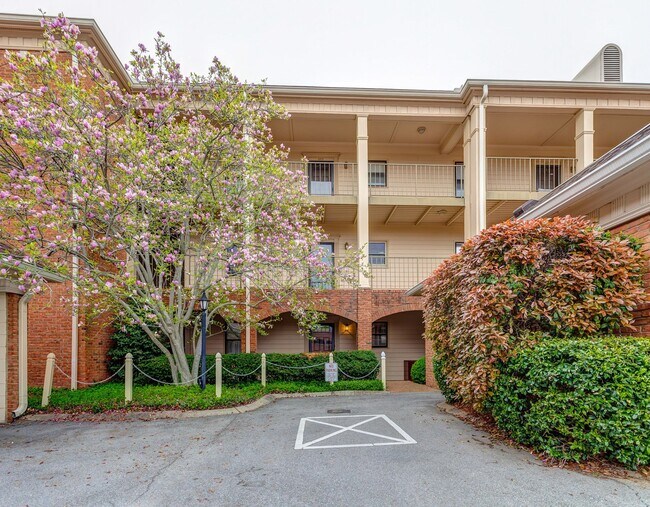 Building Photo - 3320 Hillsboro Pike