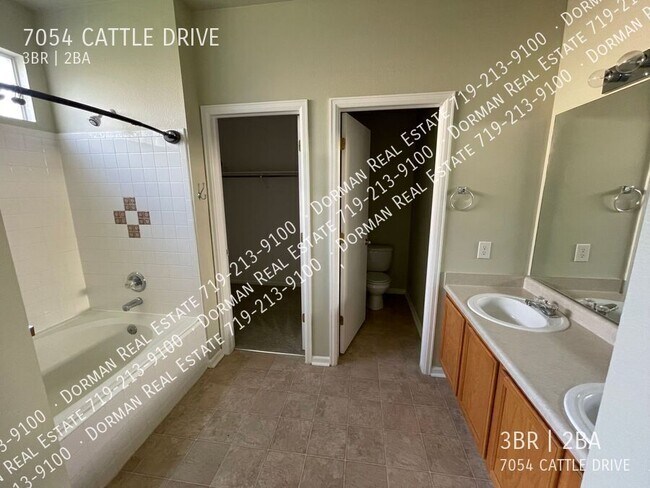 Building Photo - Single Family in Springs Ranch