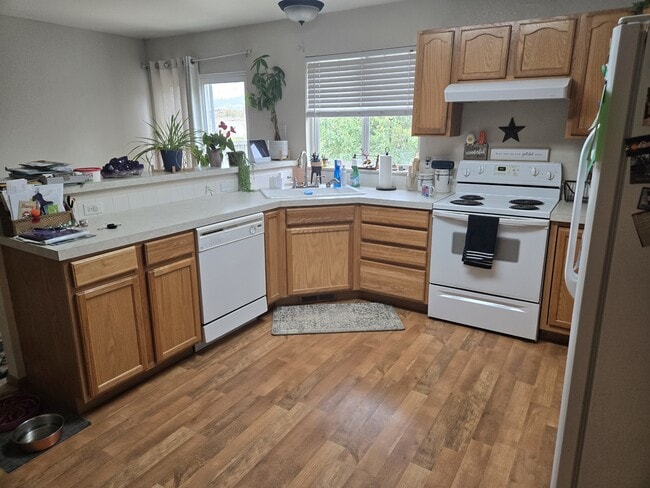 Building Photo - 4137 Cotopaxi Dr