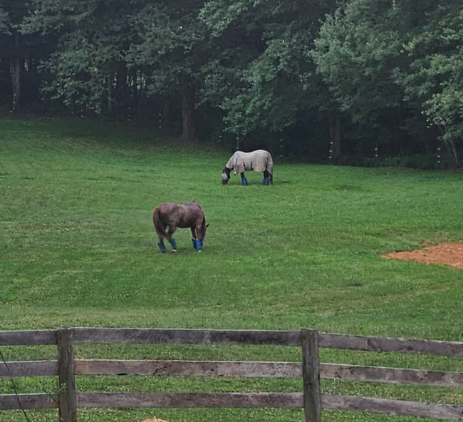 Photo - 4020 Bay Rd House