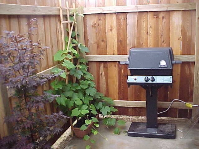 patio w/BBQ grill - 2435 Obryan Blvd
