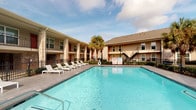 This residential unit is part of a two-story complex built in a traditional style, combining brick and stucco exteriors with covered balconies and exterior staircases. The community centers around a generously sized outdoor pool surrounded by a tiled deck furnished with lounge chairs, complemented by tropical palm trees that contribute to a relaxed, resort-like atmosphere.

Inside, the unit features hardwood-style flooring throughout, lending a cohesive and warm aesthetic to each room. The open-concept living and dining area is the heart of the unit, with a ceiling fan overhead, large windows fitted with horizontal blinds that allow ample natural light, and enough room to accommodate both a sectional seating arrangement and a dedicated dining space. The layout flows naturally between these zones, creating a versatile and functional environment.

A hallway connects the living area to the bathroom and kitchen, which is equipped with standard appliances including a refrigerator. The stairwell area features carpeted steps with a wooden handrail, decorated with colorful wall art that adds a welcoming touch. Throughout the unit, neutral wall tones and consistent flooring create a clean, cohesive interior character.