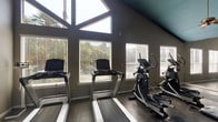 This fitness center offers a spacious, single-floor workout environment defined by striking architectural character and an abundance of natural light. The room features dramatic vaulted ceilings accented by a bold teal finish, which adds a vibrant pop of color and contributes to the airy, open atmosphere. A ceiling fan is centrally mounted to maintain comfortable airflow throughout sessions.

Large windows line multiple walls, including an impressive angular floor-to-ceiling window arrangement that frames views of mature palm trees and greenery. Additional windows along adjacent walls overlook a pool area, keeping the space bright and visually connected to the outdoors.

The flooring throughout is durable polished concrete, well-suited for a high-traffic fitness environment. Full-length mirrors along one wall enhance the sense of space and allow users to monitor their form during workouts.

Equipment is comprehensive and thoughtfully arranged. Cardio offerings include multiple treadmills and elliptical machines positioned near the windows. The strength training area features a full dumbbell rack, weight benches, medicine balls, a cable machine, and additional functional training equipment. Recessed lighting supplements the natural light, ensuring the space remains well-lit at all times. A safety station with a fire extinguisher and hand sanitizer dispenser is also present, reflecting attention to user safety and hygiene.