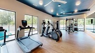 This modern fitness center offers a comprehensive workout environment designed to accommodate a wide range of exercise routines. The space is finished with warm wood-look flooring and features a distinctive deep teal ceiling accented by recessed lighting and ceiling fans, creating a stylish yet energizing atmosphere. Large floor-to-ceiling windows and glass doors line the perimeter, flooding the interior with natural light and providing open views of the surrounding outdoor areas, including what appears to be a pool and landscaped grounds. The cardio zone is well-appointed with multiple treadmills, elliptical trainers, and a Peloton spin bike, several of which are equipped with individual media screens. The strength training area includes a multi-station cable machine, a leg extension/curl machine, a weight bench, a squat rack, and a dumbbell rack, offering a thorough selection for resistance training. Full-length mirrors are strategically mounted along the walls, enhancing the sense of openness and allowing users to monitor their form. The layout is thoughtfully organized to provide ample circulation space between equipment, making the fitness center both functional and comfortable for simultaneous use.