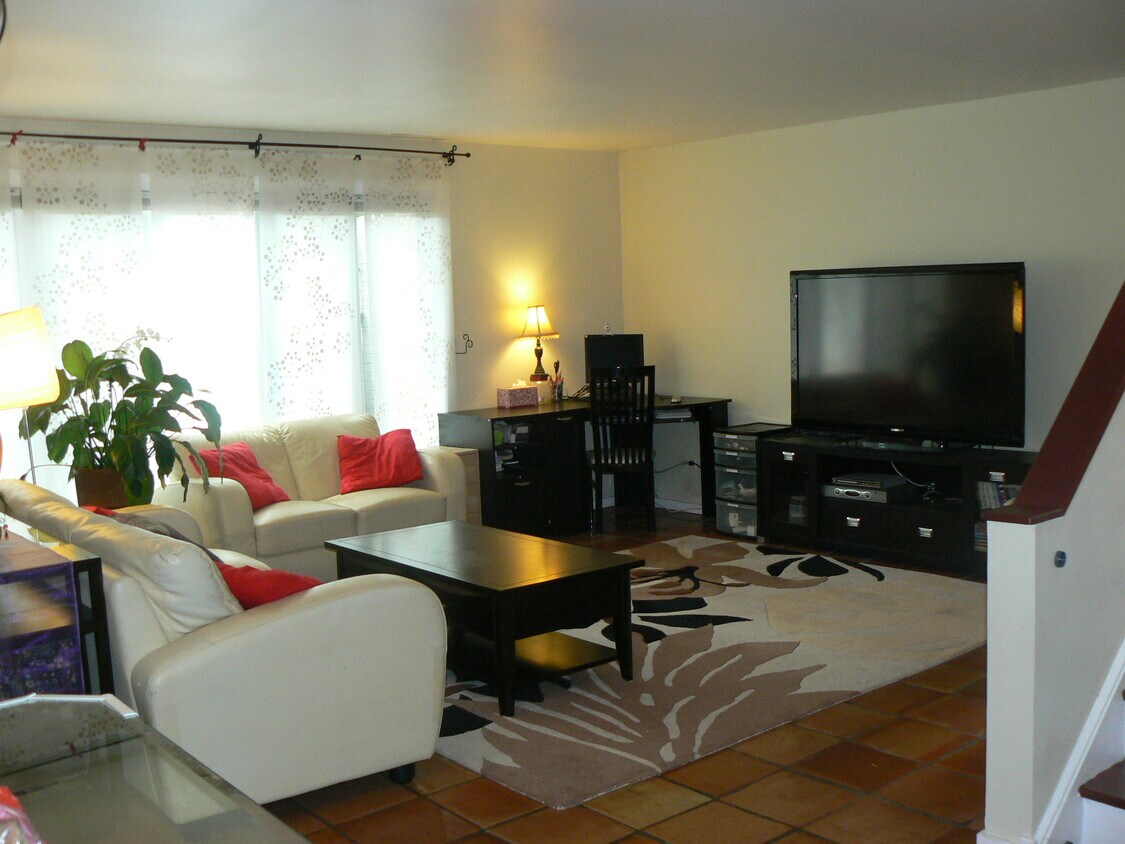 Living room - 1054 S Plymouth Ct