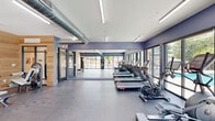 Located at 1418 Frontier Valley Drive in Austin, TX, this fitness center offers a well-appointed exercise space designed to support a comprehensive workout routine. The room is finished with a cool-toned, deep blue-gray color palette on the walls, complemented by durable gray flooring that spans the entire area. A standout warm-toned wood accent wall adds a natural, inviting contrast and serves as a backdrop for a wall-mounted display screen, anchoring a dedicated strength and free weights zone complete with kettlebells, a weight bench, and a TRX suspension system. Large floor-to-ceiling windows line multiple walls, flooding the space with natural light and offering direct views of an outdoor pool and surrounding landscape — creating an energizing atmosphere during workouts. The cardio section is well-equipped with multiple treadmills, elliptical trainers, a stationary bike, and a rowing machine, all arranged for comfortable use. A multi-station cable machine and additional strength equipment round out the facility's offerings. Exposed industrial-style ductwork runs overhead, adding an urban aesthetic, while linear LED lighting ensures bright, even illumination throughout. Full-length mirrors along one wall enhance the sense of openness and functionality of the space.