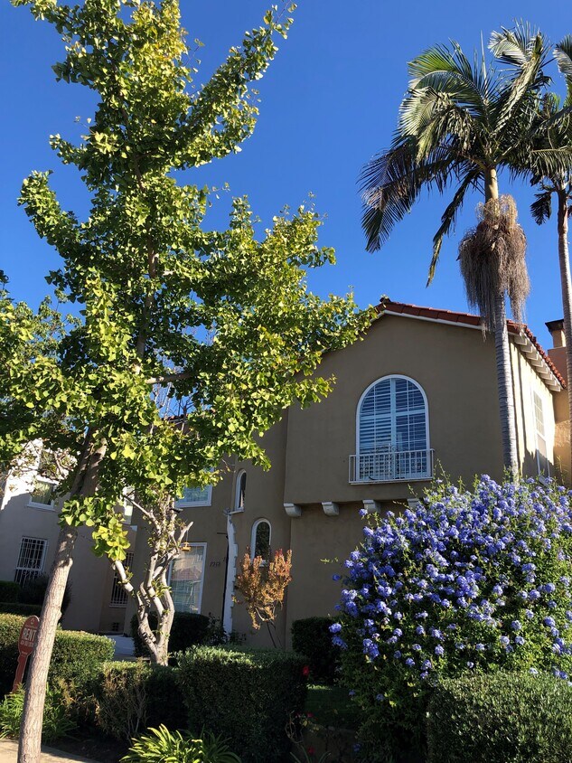 7928 W 4th St Unit 7928, Los Angeles, CA 90048 Apartments in Los Angeles, CA