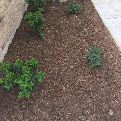 Building Photo - 4157 Summersweet Ln