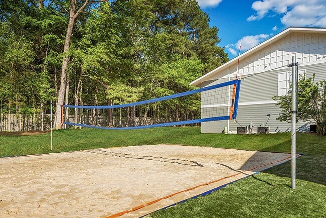 Exterior - Cancha de voleibol - The Apartments at Midtown 501