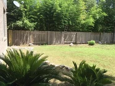 Building Photo - 11217 Jockey Bluff Dr