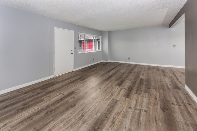 Great Find! Won't Last ~ Newly Renovated 1... - Great Find! Won't Last ~ Newly Renovated 1... Apartment