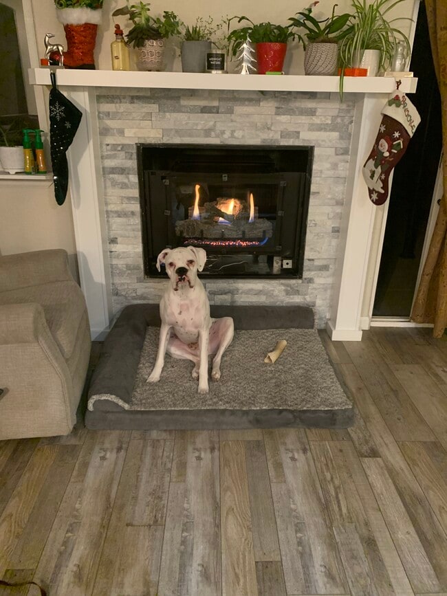 Updated gas fireplace (dog not included!!) - 813 Gabriel Ct