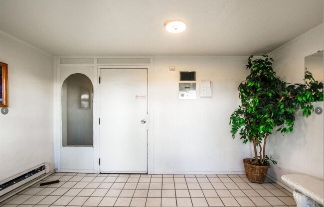 Photo - Florida Apartment