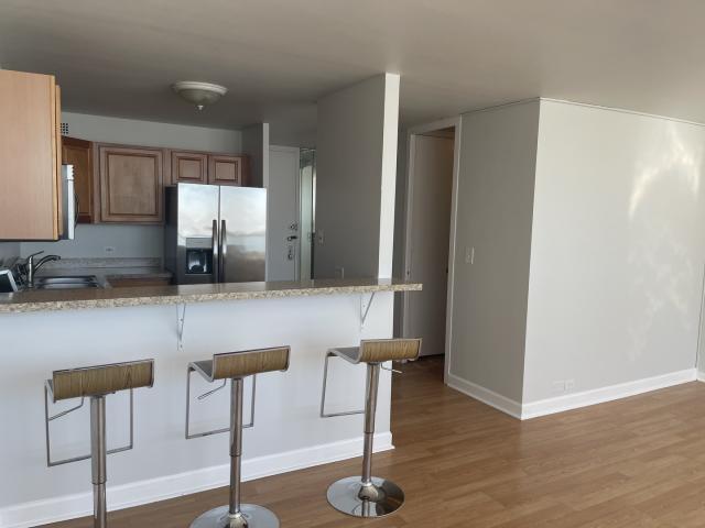 Building Photo - 0 bedroom in Chicago IL 60615