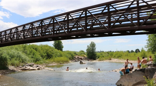 Building Photo - The Bear Necessities