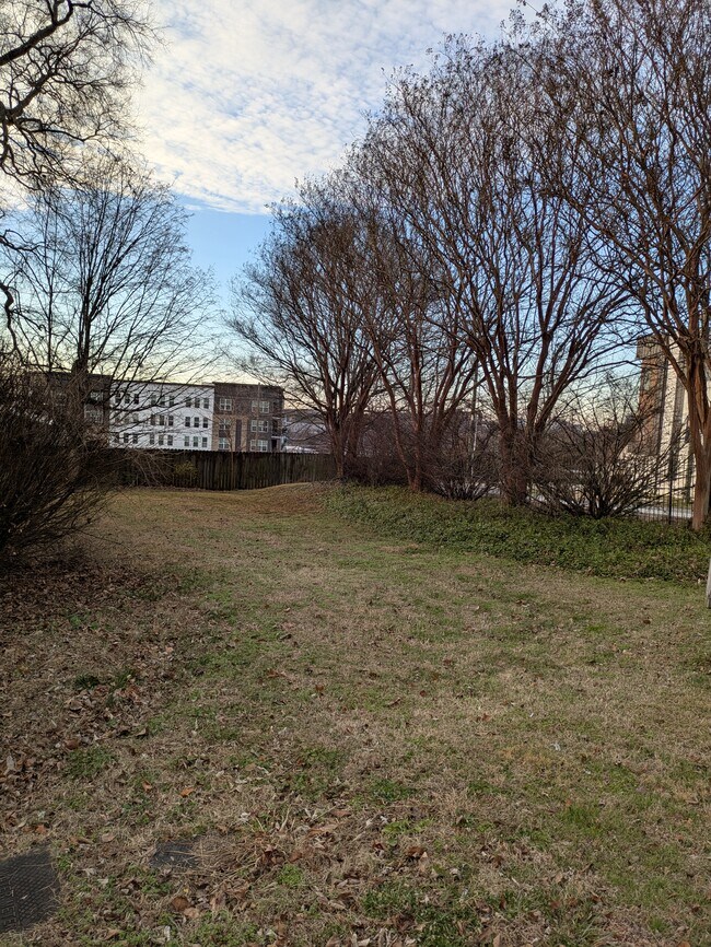 Side yard - 2703 Rosedale Pl