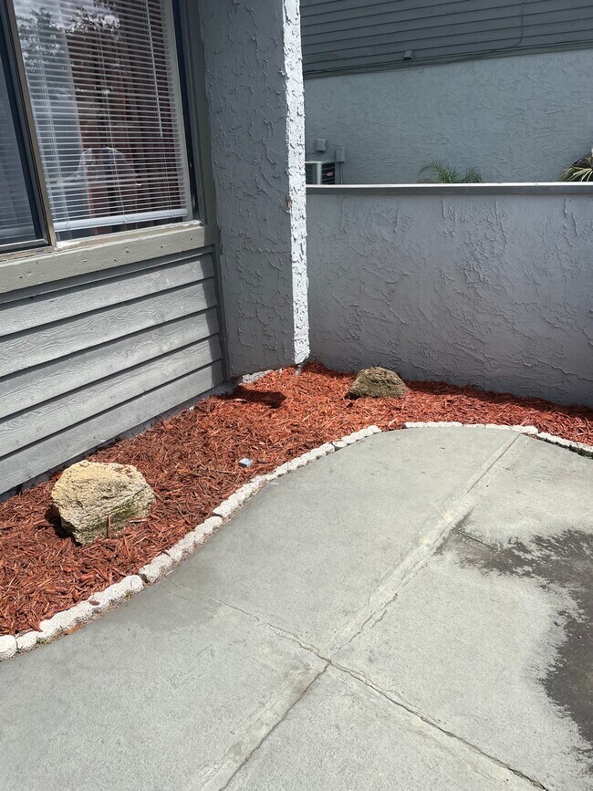 Foto del edificio - 220 Lemon Tree Ln