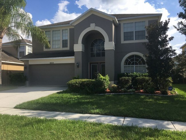 Building Photo - Gorgeous 4 Bedroom Palm Cove Rental