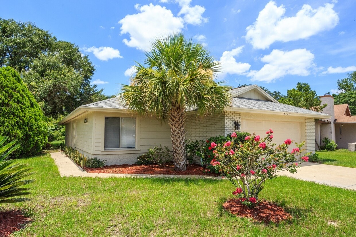 Clean and Neat Single Family Home - Clean and Neat Single Family Home