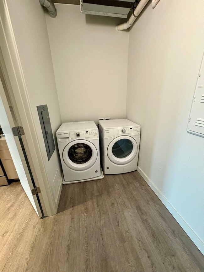 Interior Photo - Baumhaus Apartments