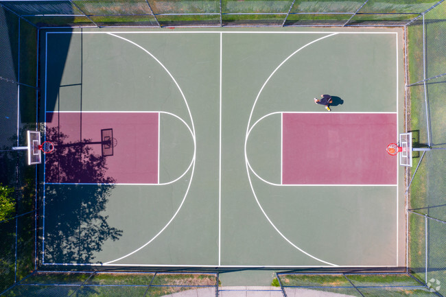 Cancha de básquetbol - Stadium Park