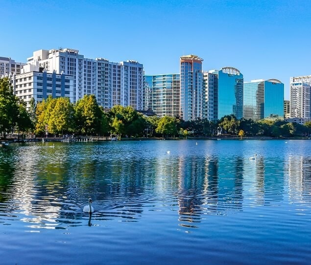 A swan on Lake Eola