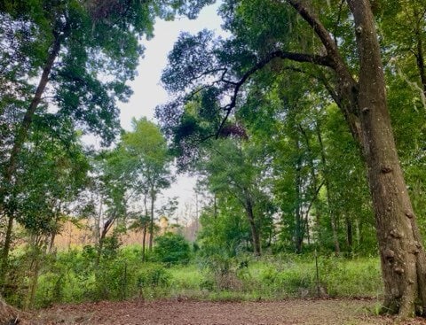 Building Photo - 2339 SE 46th Ter