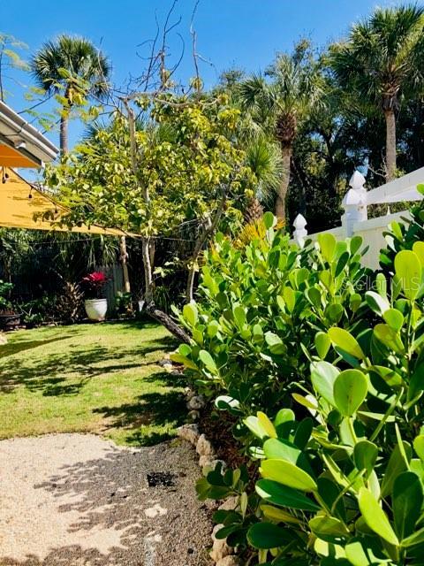 Building Photo - 5329 Avenida Del Mare