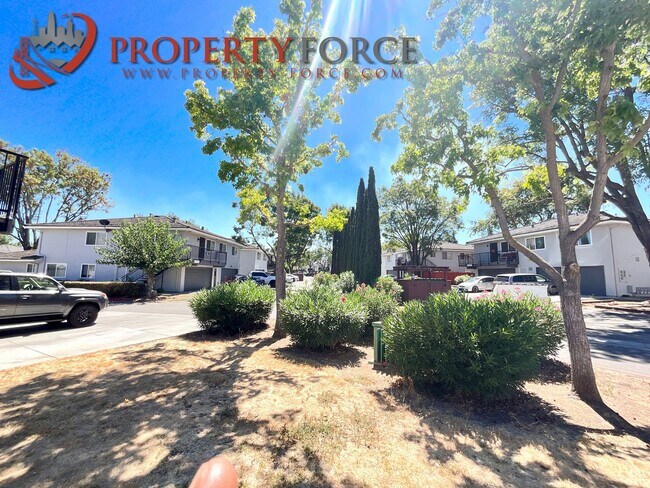 Building Photo - 5635 Playa Del Rey Ct