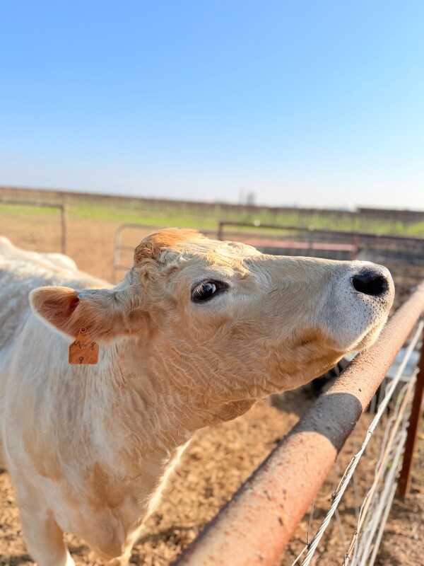 Building Photo - 14621 16th Ave