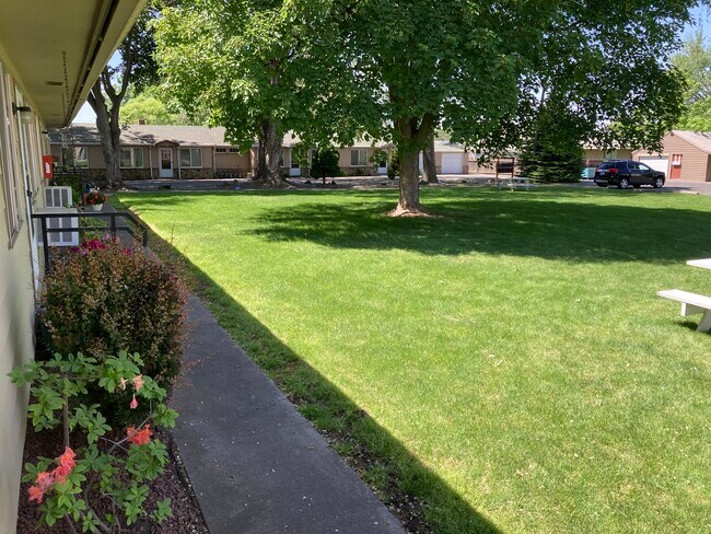 Large yard with mature trees - 331 NE Myra Rd