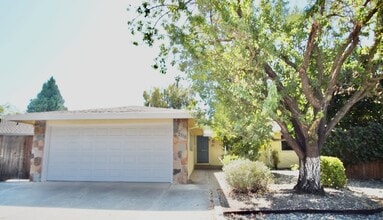 Building Photo - 2518 Loyola Dr