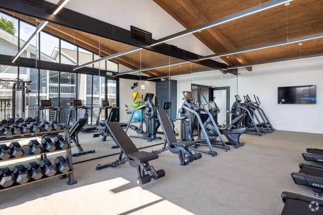Gimnasio - Addison at Princeton Meadows