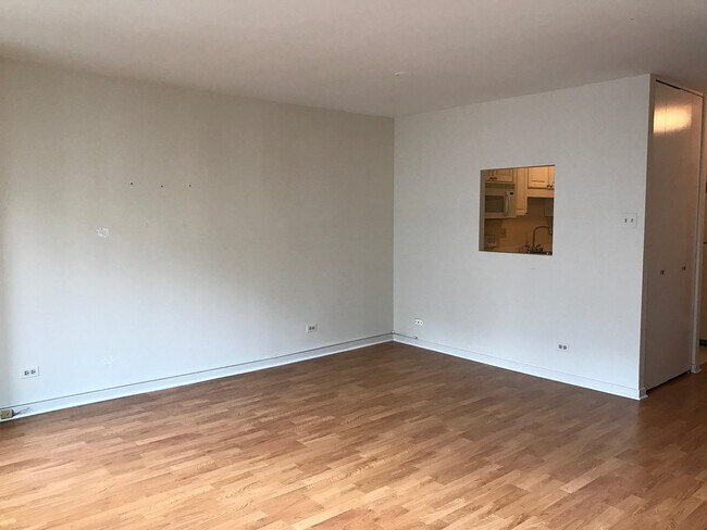 Building Photo - Nice one bedroom in Streeterville