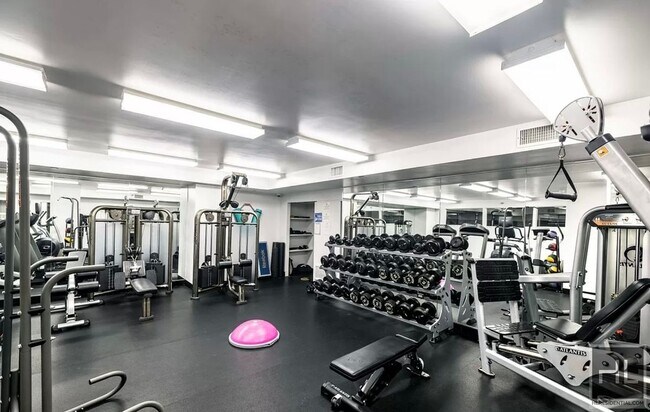 Building Photo - Rare Availability! Super Bright 1 bedroom ...