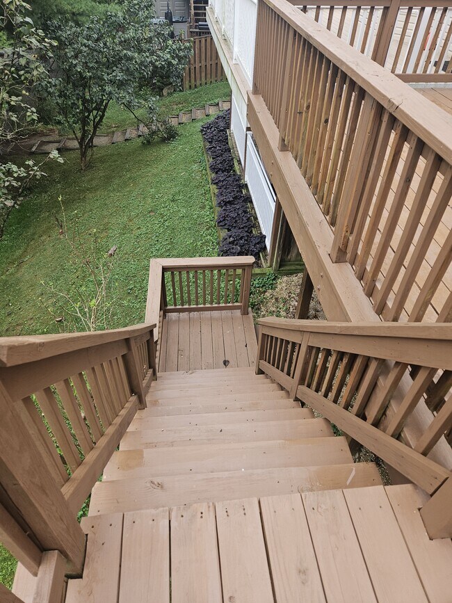 Foto del edificio - 218 Moser Cir