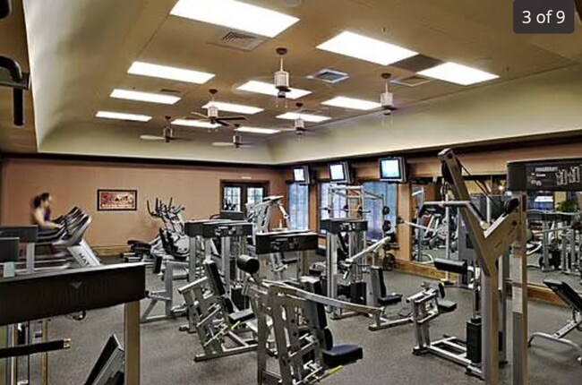 Foto del edificio - Breathtaking 4/2.5 Rancho/Anatola w/TONS O...