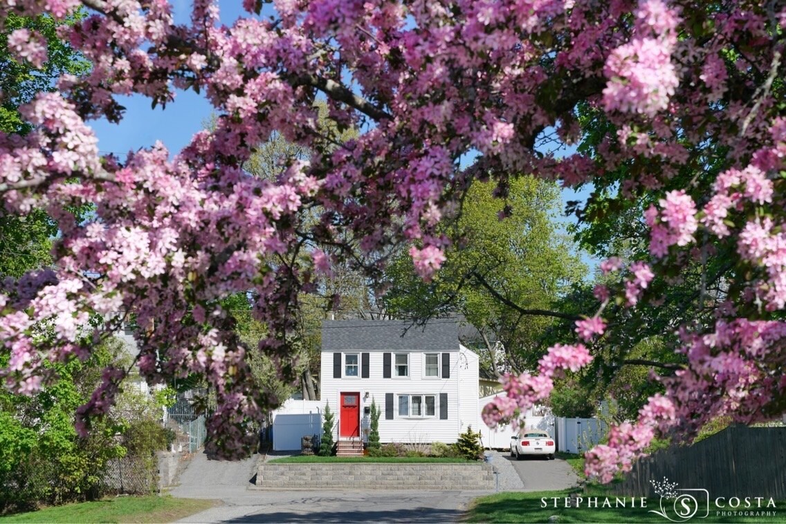 Primary Photo - 102 Waverly Rd