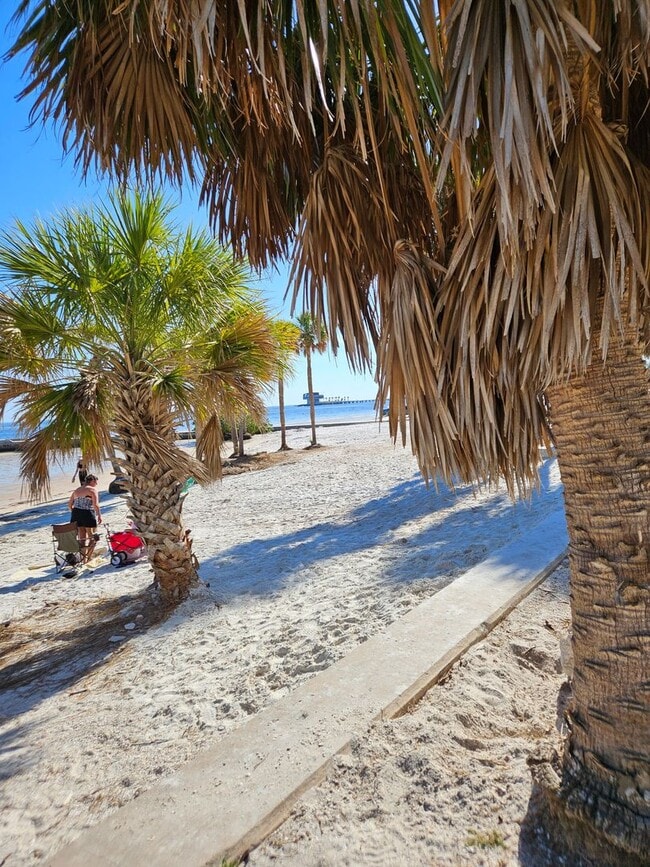 Foto del edificio - Downtown St. Pete area - 1 bedroom Condo for rent!!