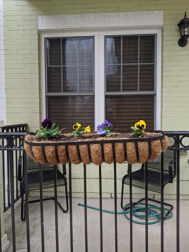 Front Porch - 579 Regent Pl NE